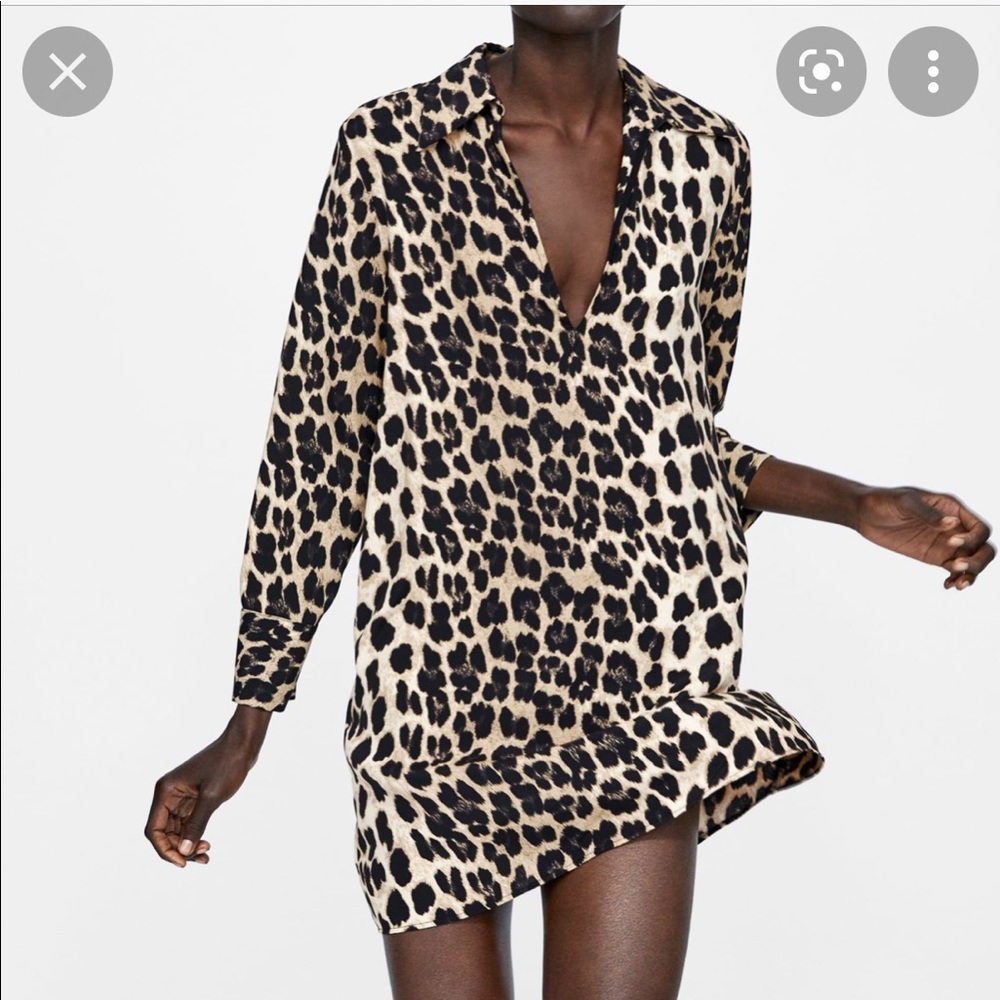 Zara Leopard Print shirt dress